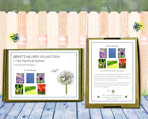 In the Meadow Greeting Card Collection by The Poetry of Nature - happy, colorful, botanical note cards, flower cards with poems 